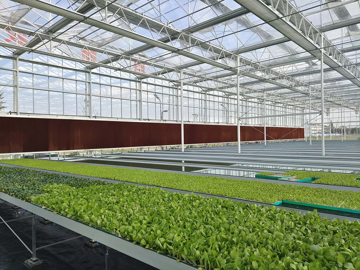 潮汐式灌溉移动苗床