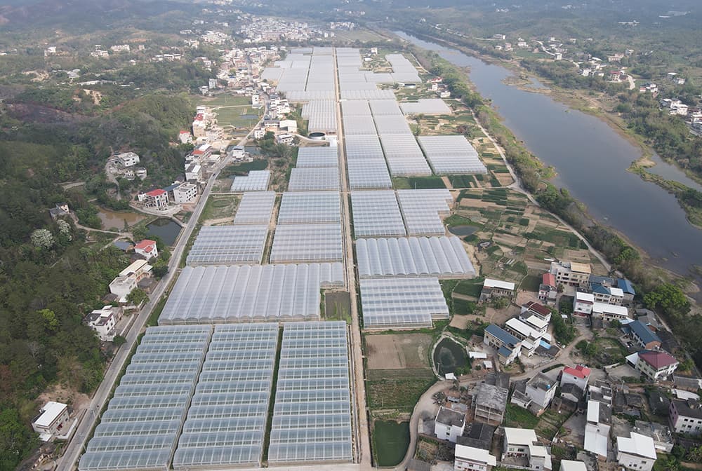 红古田果蔬产业园项目