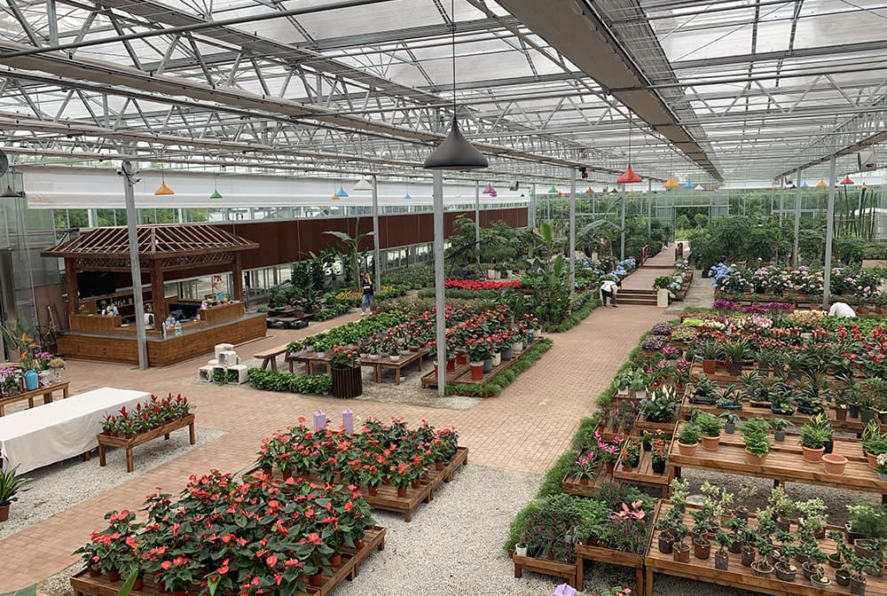 嘉兴园艺公司玻璃温室