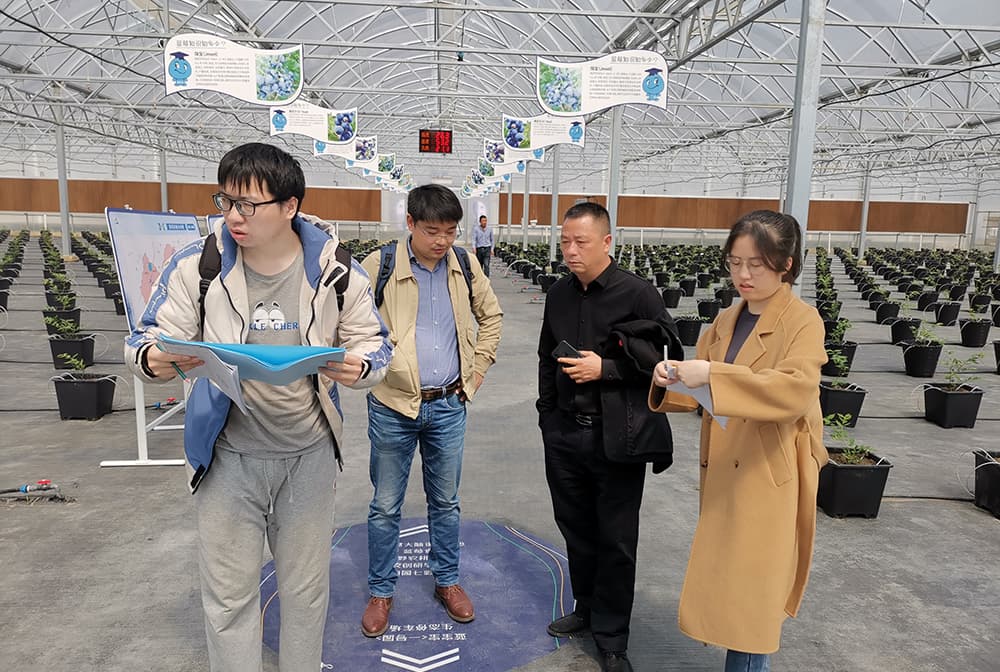 桐庐钟山乡蓝莓温室